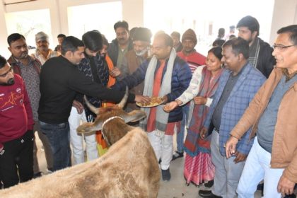 प्राण प्रतिष्ठा से पूर्व गोशाला का शुभारंभ, गोबर प्लांट भी शुरू