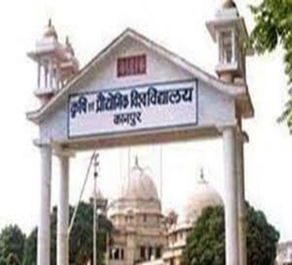 फरवरी माह से तापमान बढ़ने के साथ ही गेहूं की फसल में बढ़ जाता है रोगों का प्रकोप