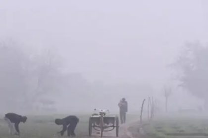 राजस्थान में तेज सर्दी से थोड़ी राहत, कल से कुछ जिलों में बारिश की संभावना