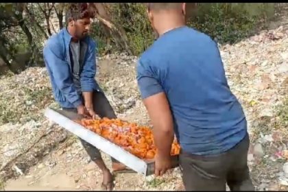 अखाद्य रंगों से तैयार किए जा रहे चार सौ किलो लड्डू कराए नष्ट