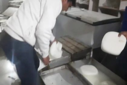 खाद्य सुरक्षा टीम ने कराया 550 किलो मिलावटी पनीर नष्ट