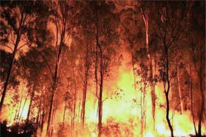 जंगलों में लगाने वाली आग की घटनाओं को लेकर मुस्तैदी