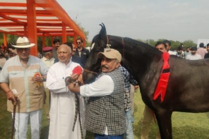 दो दिवसीय राष्ट्रीय मारवाड़ हॉर्स शो का रंगारंग शुभारंभ