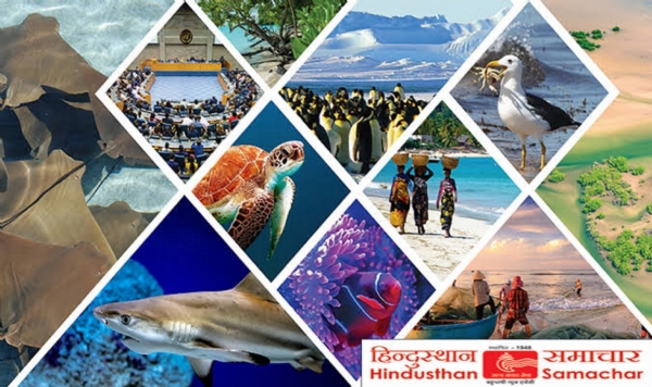 ब्लैक बोर्ड पर लिखकर नकल कराने का संदेह, केंद्र व्यवस्थापक व स्टैटिक मजिस्ट्रेट हटाए गए