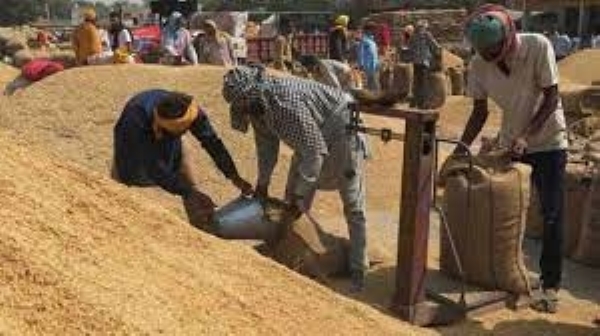 मुख्यमंत्री योगी ने की धान खरीद की समीक्षा, अब तक 52.47 लाख मीट्रिक टन हुई खरीद