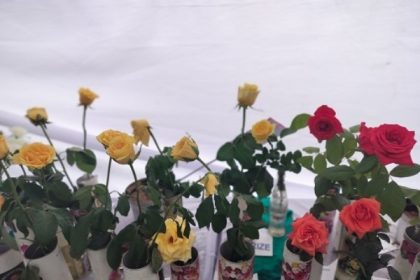 गुलाबों की खुशबू और महक से खिल उठा सिटी पार्क