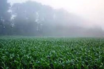 पछुआ हवाओं से गिरा तापमान, पश्चिमी उप्र में तीन दिन बारिश की संभावना