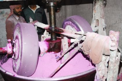 Holi Special: Colorful gulal is being made from arrowroot powder.